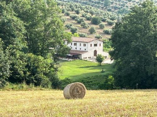Montelibretti Bed & Breakfast | L’Antica Tenuta