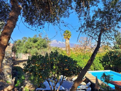 Aci San Filippo House | L'Aranceto