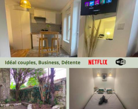 Centre Ville Apartment | L'escale Niortaise- Le palmier - Centre-ville, Jardin, Netflix, gare SNCF