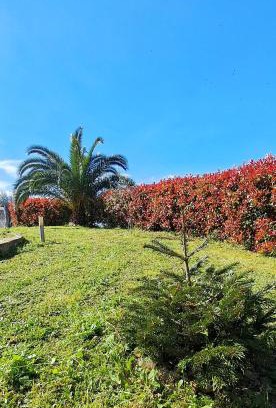 Chieti Bed & Breakfast | La Bella Addormentata