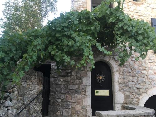 Saint-Maurice-Navacelles House | La cardabelle