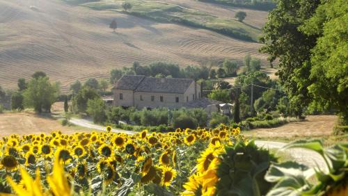 Trecastelli Bed & Breakfast | "La Casa degli ulivi Art B&B"