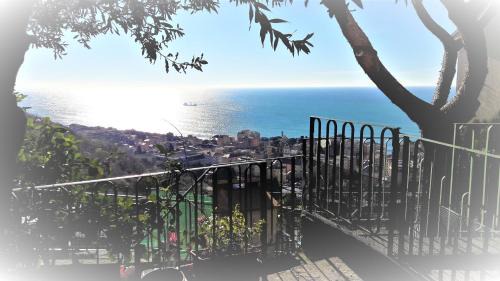 Quinto al Mare Bed & Breakfast | La Casa dei Limoni