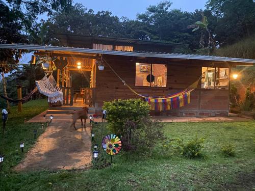 Cali Bed & Breakfast | LA CASA DEL BOSQUE Via SALADITO