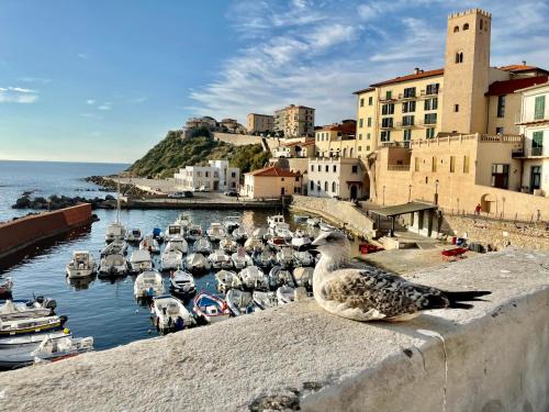 Piombino Apartment | La casa di Fabri