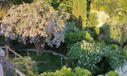 Cesi House | La casa di Paola