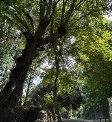 Somma Lombardo House | La Casa nel Bosco