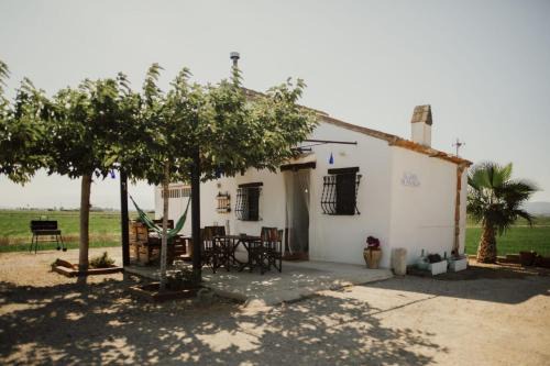 Deltebre House | La Caseta de Panisello