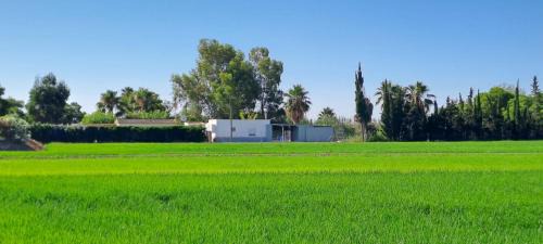 Sant Jaume d'Enveja House | La Caseta Dels Avis