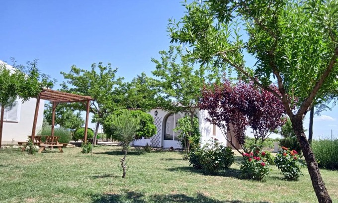 Socuellamos House | La Casita de los Almendros