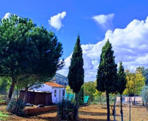 Guadalcanal House | La casita del Abuelo