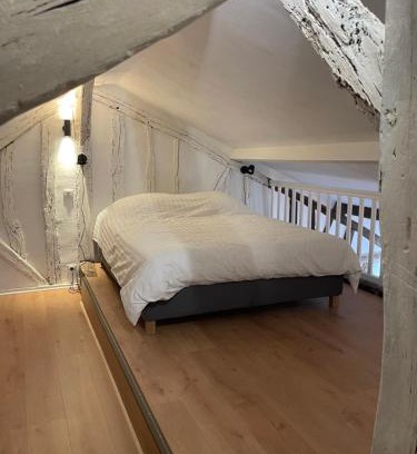 Tours City Centre Apartment | La chambre de Baucis