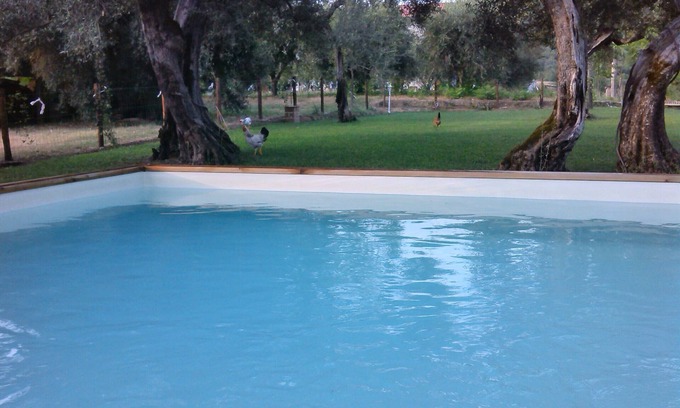Montelovesco House | La Collina degli Ulivi (Touristic Rentals) Passiflora