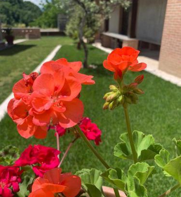 Ascoli Piceno Bed & Breakfast | La collina su Ascoli