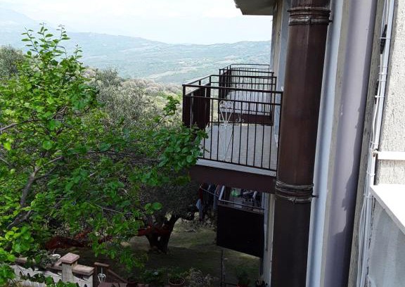 Centola Bed & Breakfast | La Collina su Palinuro