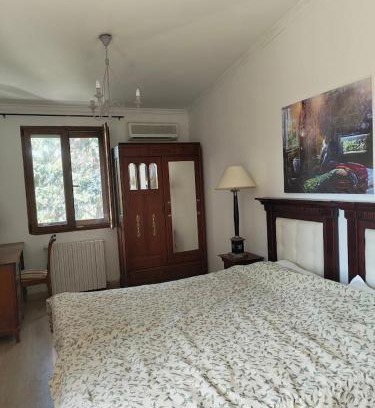 Sector 1 House | La Conac