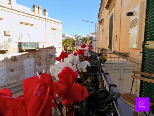 Bisceglie Apartment | la dimora del viaggiatore, casa in città