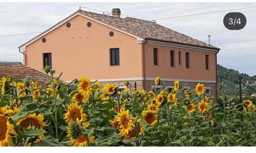 Villa Musone House | La dolce vita
