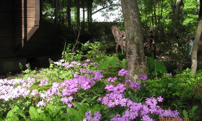 Kitasaku-gun Bed & Breakfast | La Forest De Nome Karuizawa
