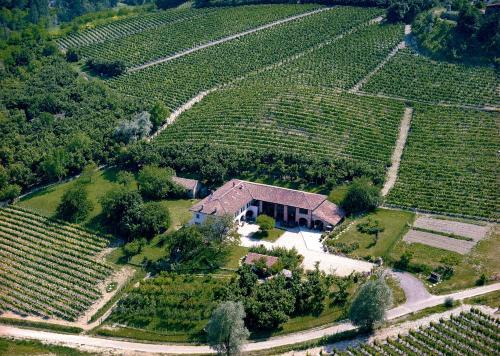 Calamandrana House | La Giribaldina Winery & Farmhouse