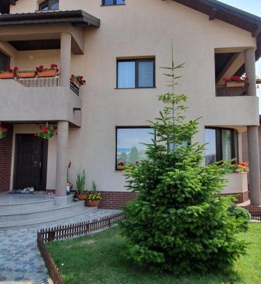 Techirghiol House | La Grig