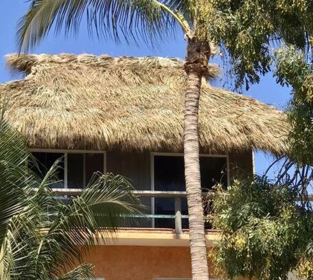 Brisas de Zicatela Apartment | La Isla Bonita - Departamento en la Punta