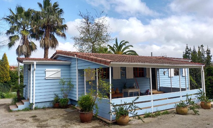 Arce House | La isla de las sirenas