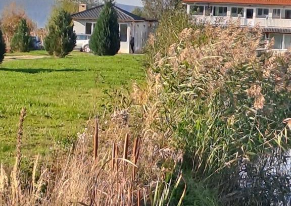 Voila House | La Izvoare Pensiune-Păstrăvărie