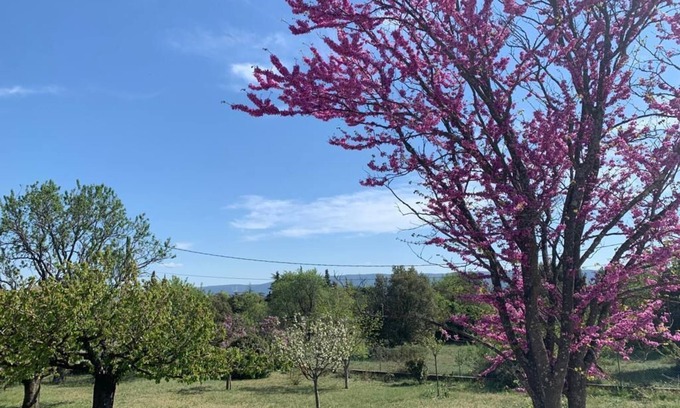 Cabrieres-d'Avignon House | La Lavande - Maison de Vacances en Provence Avec Piscine Privée et Jardin Arboré