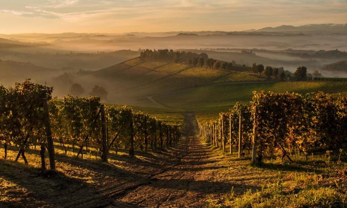 Novello House | La Locanda del Nocciolo