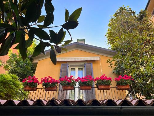 Saragozza-Porto Bed & Breakfast | La Magnolia B&B