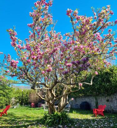 Guerande Bed & Breakfast | La Maison Bizienne Guérande - Chambres d'hôtes de charme