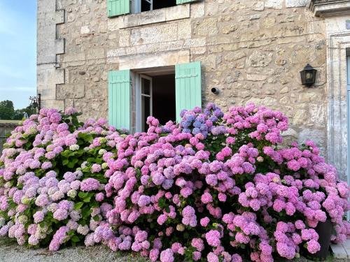Allemans Bed & Breakfast | La Maison d’Hortense et Lili