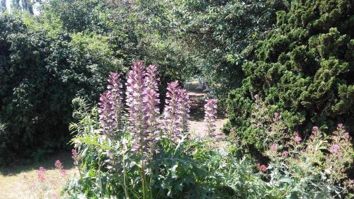 Saint-Aubin-Les-Elbeuf House | La maisonnette du Jardin Fleuri