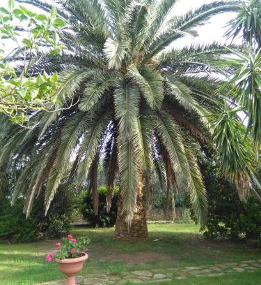 Magliano in Toscana House | La Palma