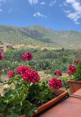 Capoterra Bed & Breakfast | La quercia