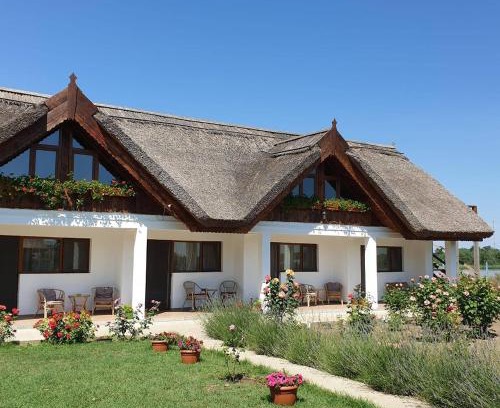 Chilia Veche House | La Raducu