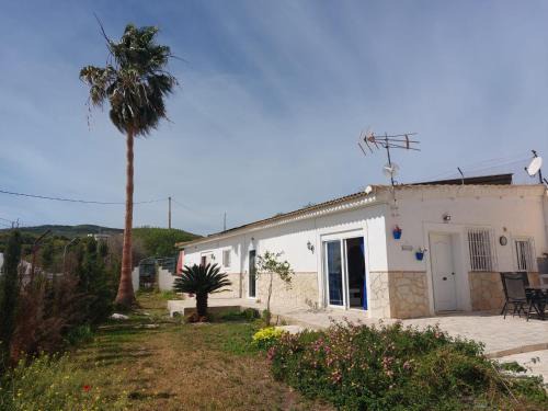 Velez-Malaga Bed & Breakfast | La Rana Azul