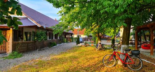Sapinta Hotel | La Romaneasa