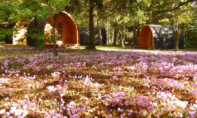 Chouzy-sur-Cisse Other | La Rossignolerie - POD Cabanes des châteaux
