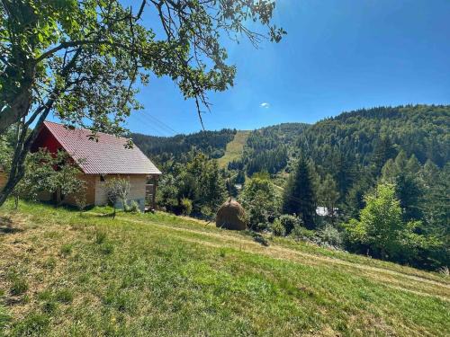 Garda de Sus Ski Chalet | La Sava lui Traian