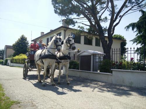 Villafranca di Verona House | La Siesta