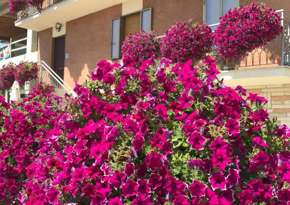Gubbio Apartment | La Signora Dei Fiori