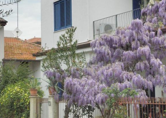 Giulianova House | La Suite Di Rita