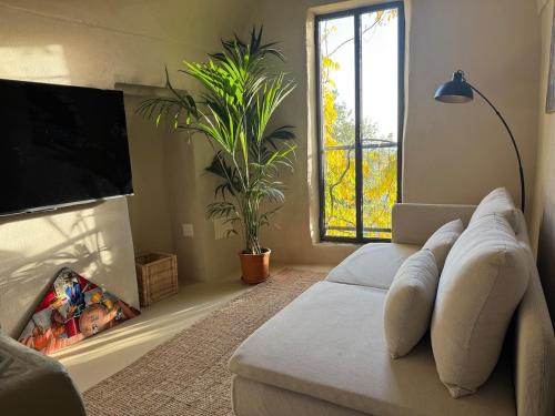 Bussana Vecchia Apartment | La Torretta
