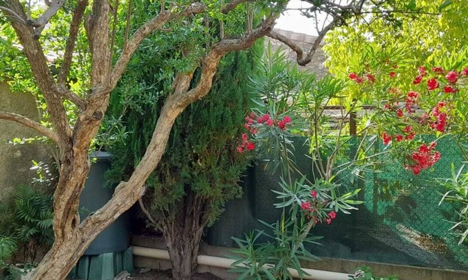 Puimisson House | La Vigneronne de Mamie