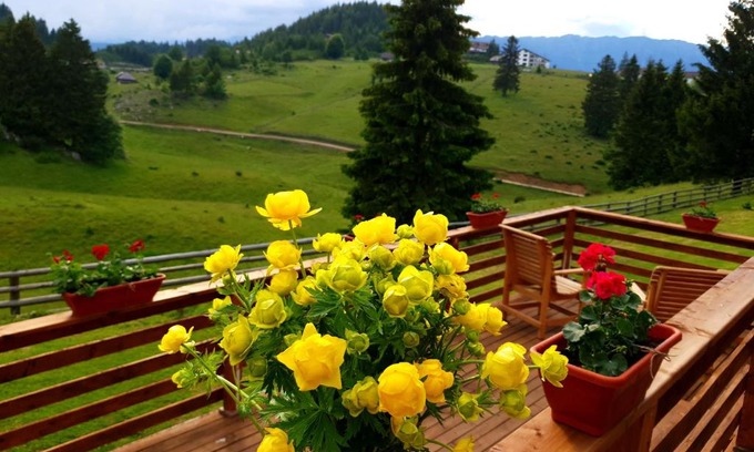 Fundata Bed & Breakfast | La Vulturi