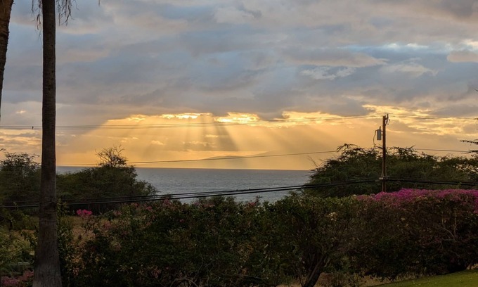 Kihei Condo | Labor Day Sale-Stunning ocean sunsets,@Wailea Beaches,Green, and Foodie Kitchen!