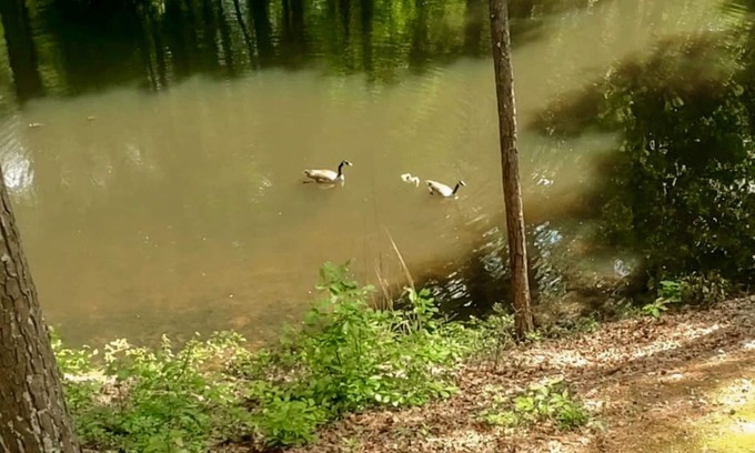 Hot Springs Village House | Lakefront Dog-Friendly Townhouse with Private Dock, Lake Views, Tennis, Golf