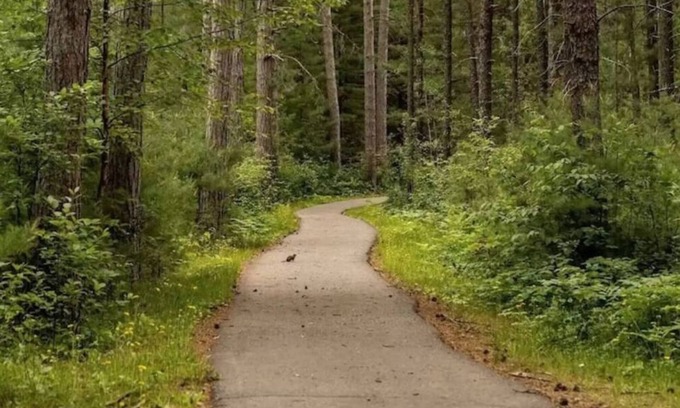 Babbitt Cabin | Lakeshore Cabin/Home sleeps 8, North MN Heaven
